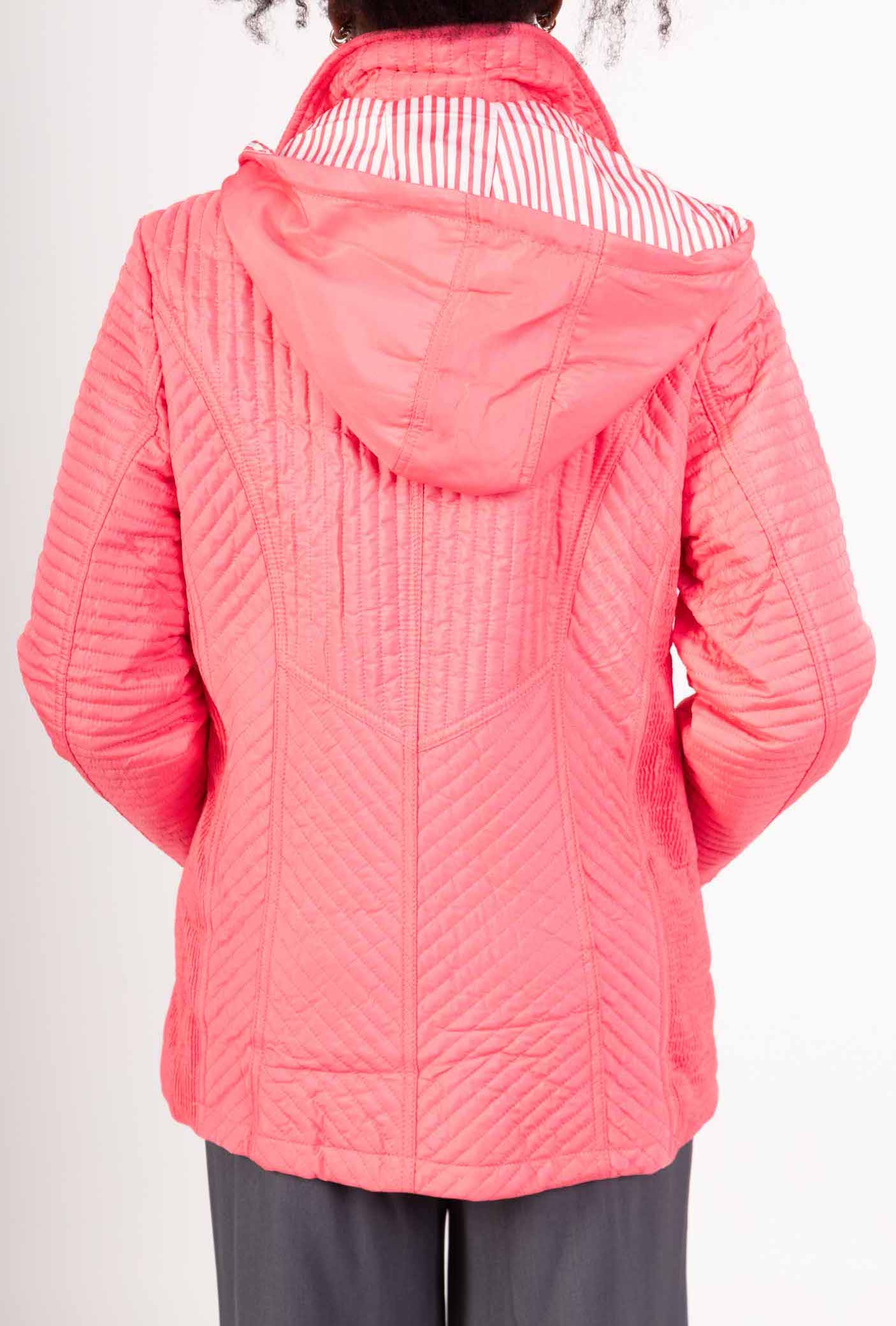 Veste Femme Grande Taille WM711 – Saturne Paris | M au 6XL